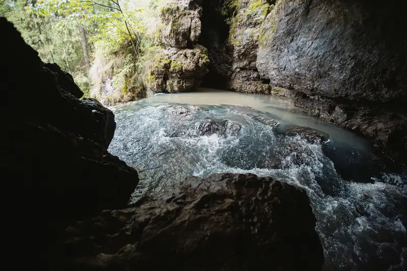 Discover the enchanting view of a cave entrance with a flowing stream, surrounded by lush greenery.